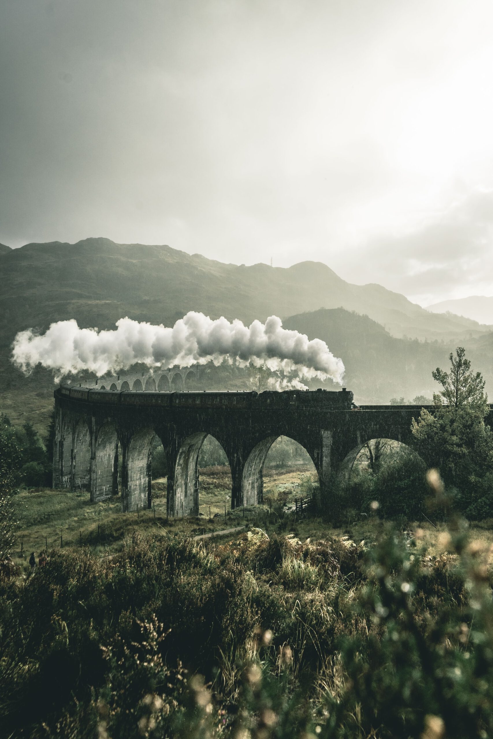 Steam train on a big bridge